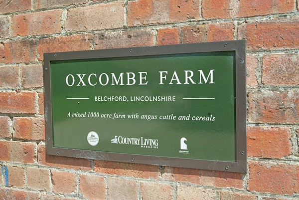 4 - Oxcombe Pottery Shoot