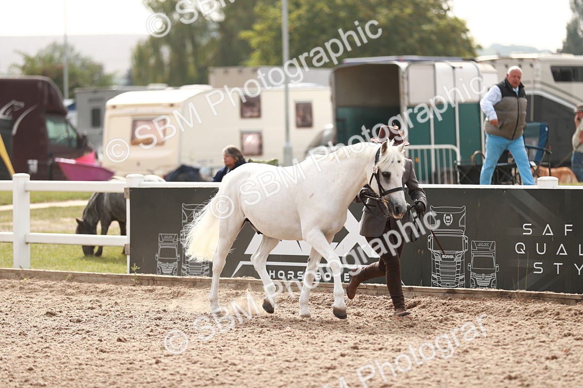 SBM_12409 - Class 207 IH M&M