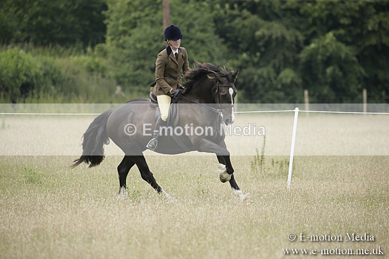 B230619-0512 - Bourne Valley Riding Club Summer Show 23/06/19