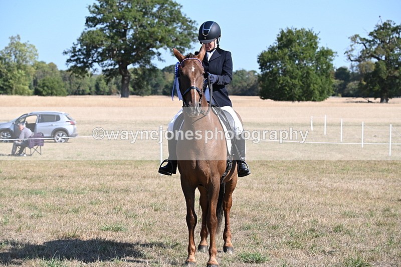 WJ6_7344 - Class 33 Rescue Pony