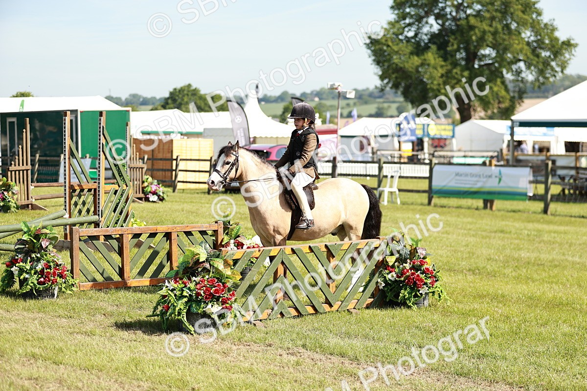 SBM_12697 - Class 106-107 - BSPS LIHS Working Sports Pony