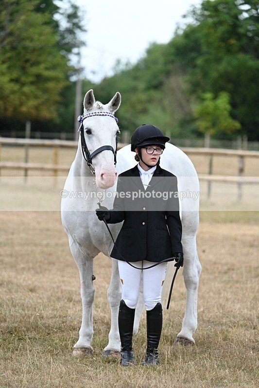 WJ7_9258 - Class 4a Prettiest Mare 14.2hh and over