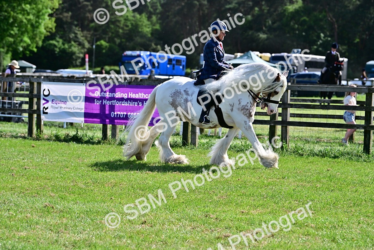 SBM_09310 - Class 63-65 - Traditional Gypsy Cobs In Hand & Ridden