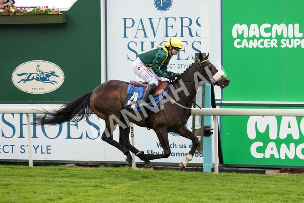 yr11062022r1-157 - Race 1 12.45pm Macmillan Ride of Their Lives, supported by Sky Bet
