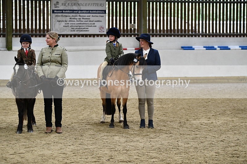 WJ5_7089 - Class 10 Childs Pony