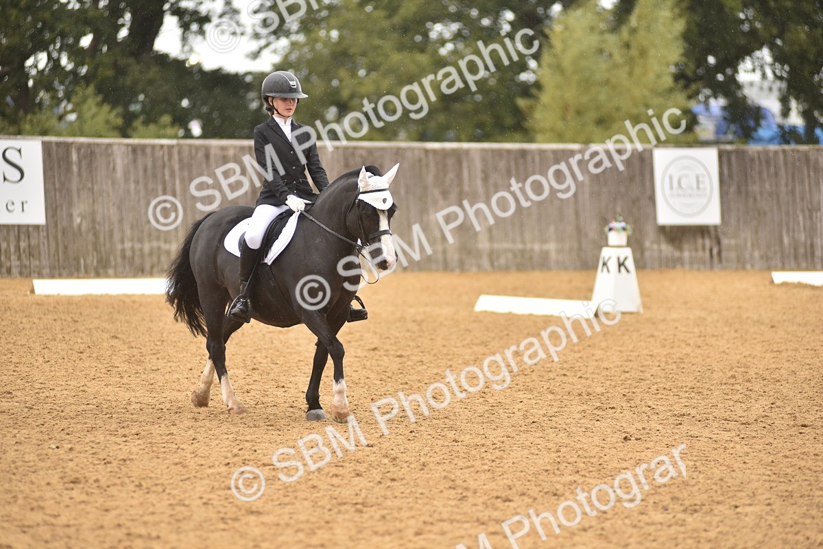 SBM_42429 - D22 - Junior Championship Intro 3