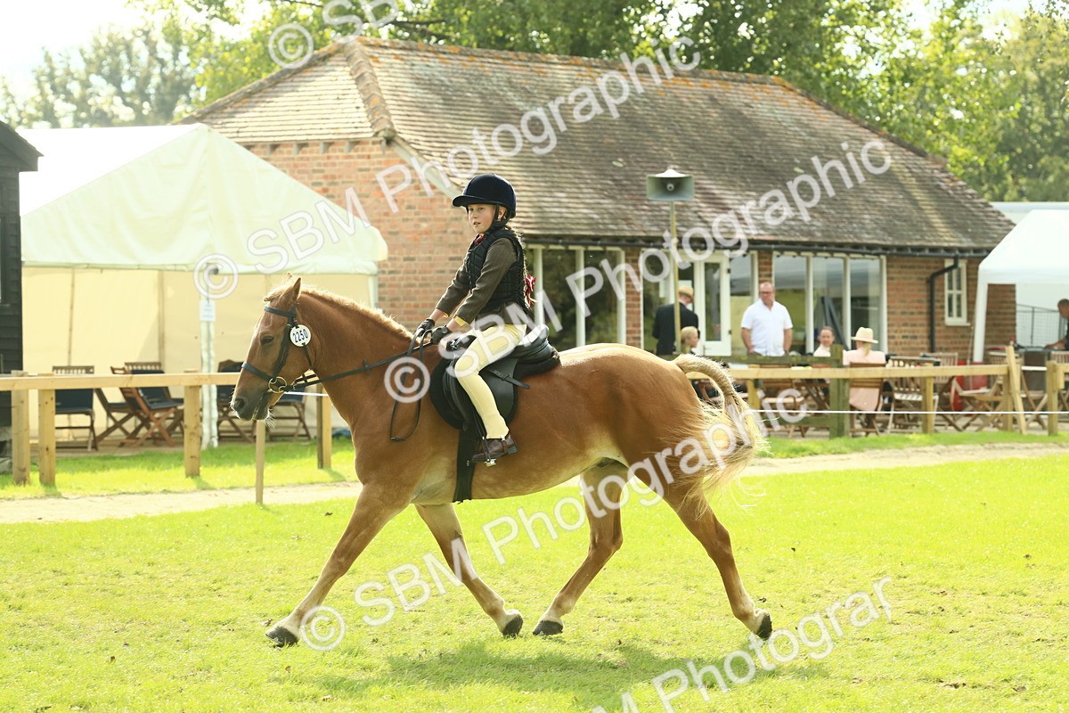 SBM_62505 - S62 - Foreign Breeds Ridden