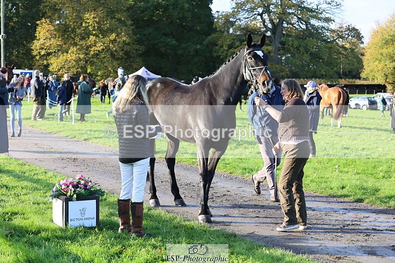 251026A-094453-22452 - D-343-Georgina.Owen