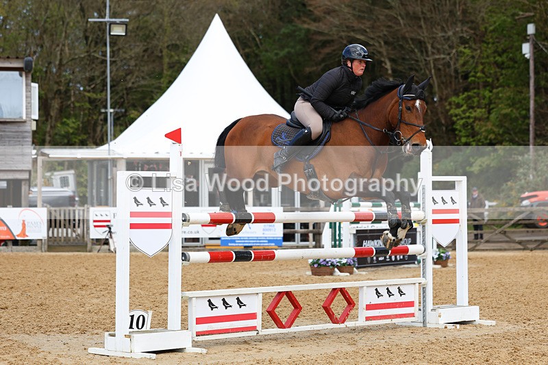3E7A2056 - Class 8: Senior Foxhunter/1.20 open