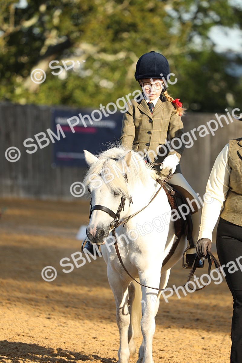 SBM_33604 - D26 - Starers - Lead Rein