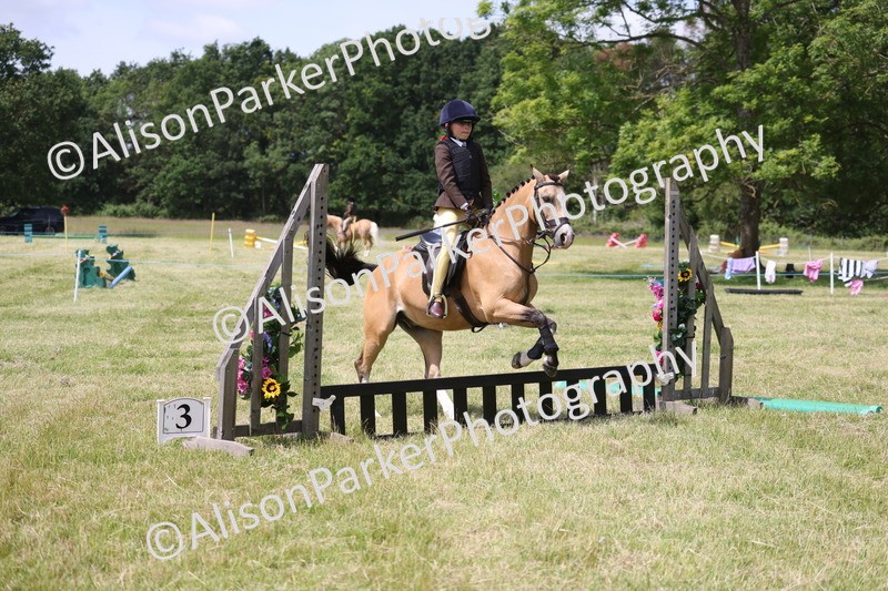 20260614-1887 - Class 21 - Novice Working Hunter Pony