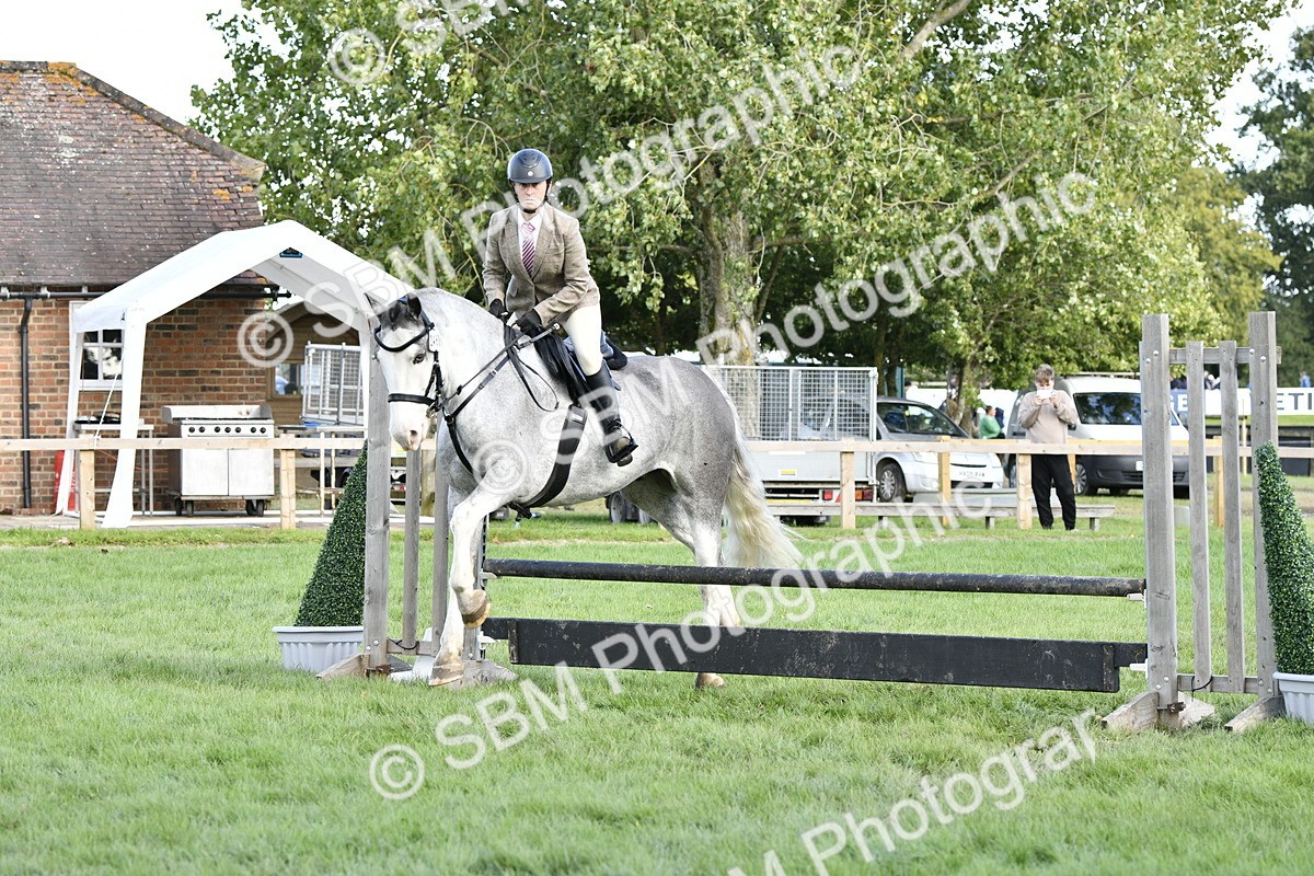 SBM_52186 - S35 - Working Hunter & Working Show Horse