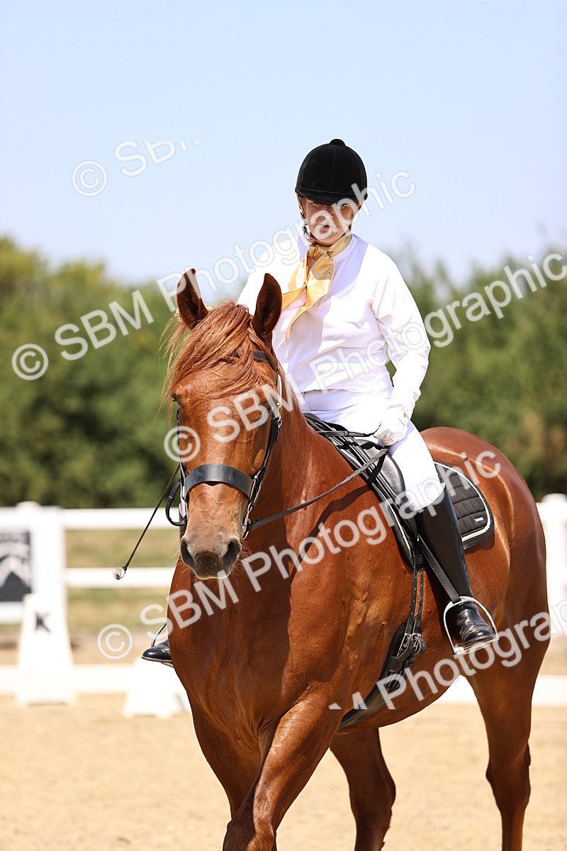 SBM_004129 - Intro 2