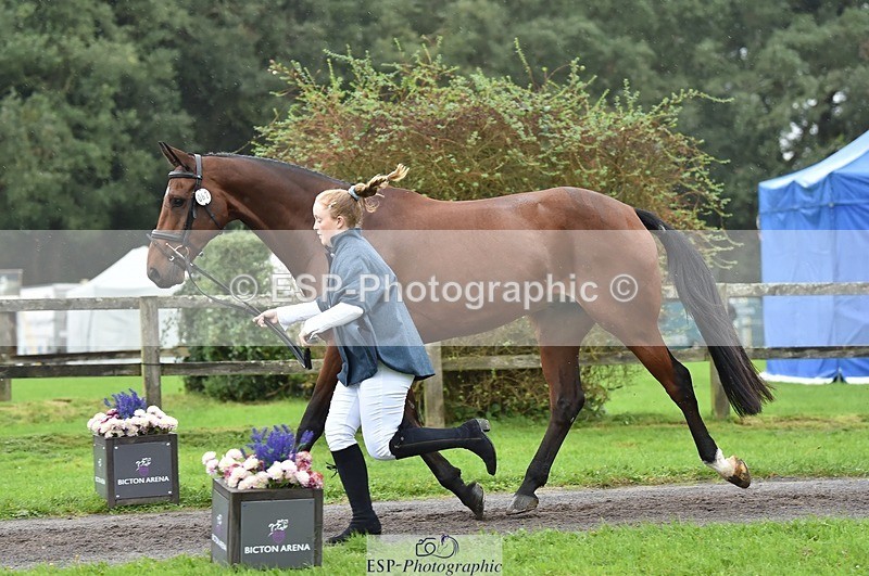 231018-124624-00508 - 062-CLASS.ROMANCE-Eleanor.Hope-TrotUp