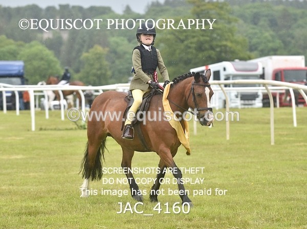 JAC_4160 - 40CM WORKING HUNTER