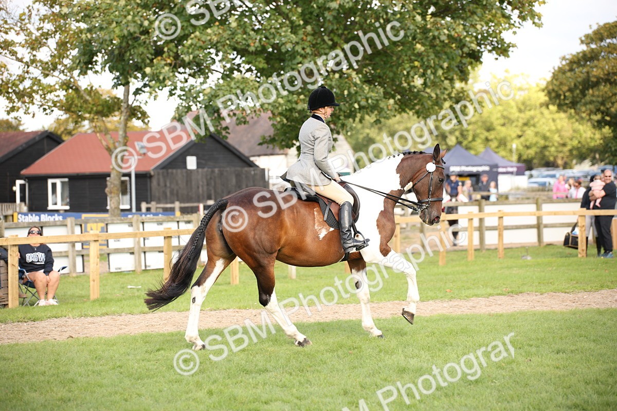 SBM_50202 - S26 - Young Veteran - Ridden