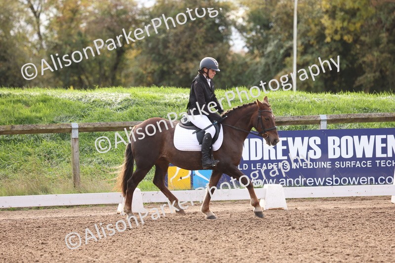 20251021-0077 - Class 3 - Prelim 1