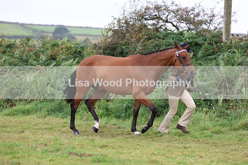 3E7A4339 - Class 15: Three Year Olds