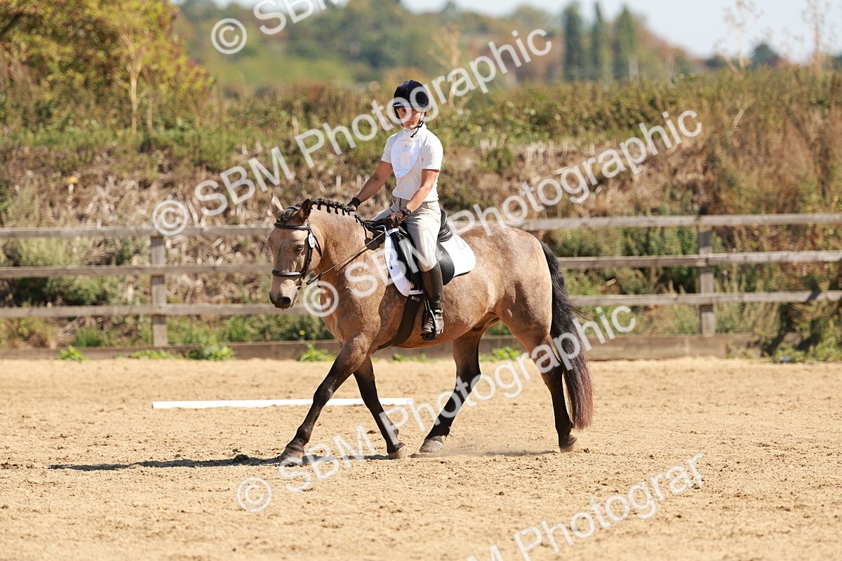 SBM_010612 - Class 4 - Prelim 3