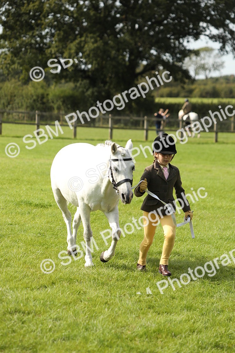 SBM_68659 - S40 - Junior Handler 9-12 Years