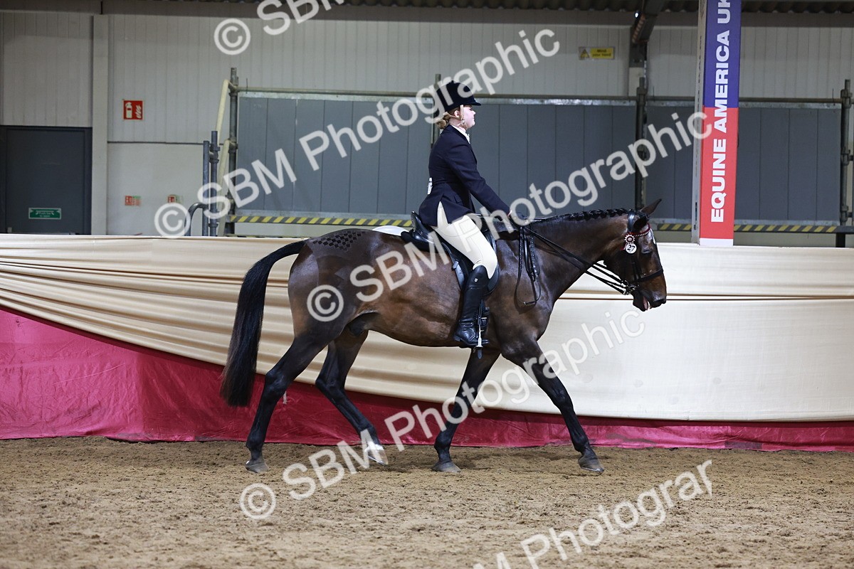 SBM_20342 - Class E - Best Turned Out Champ