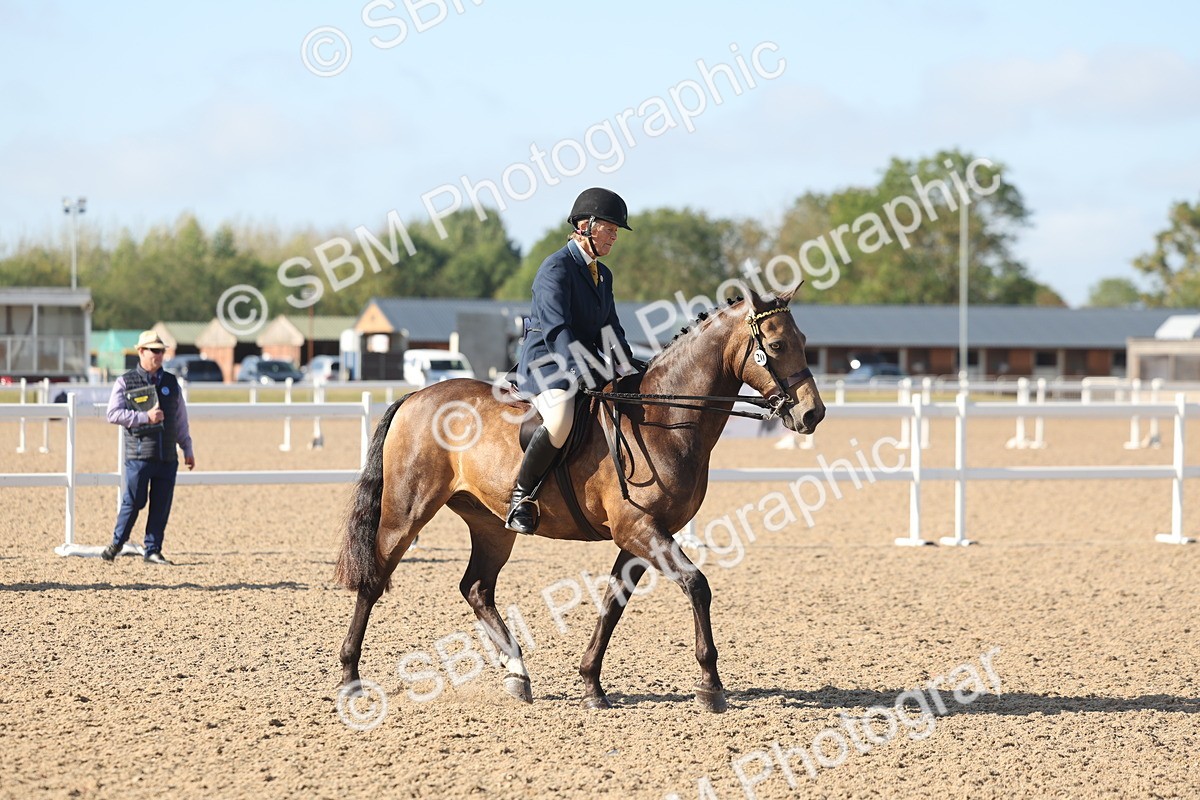 SBM_22306 - Class 803 - Ridden Combination 65+