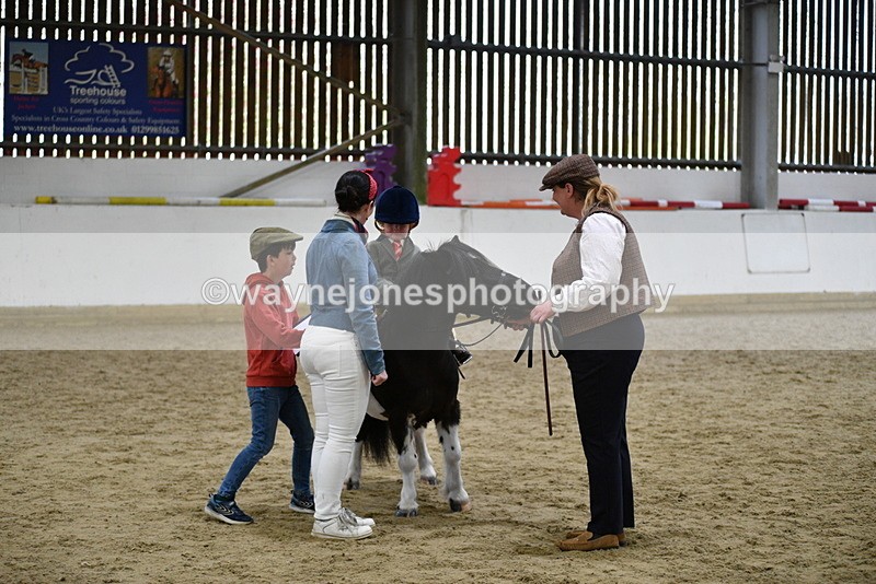 WJ5_6641 - Class 10 Childs Pony