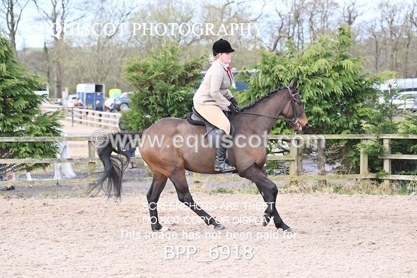 BPP_6918 - RING 1  (RIDDEN HORSES / IN HAND / VETERAN ETC)