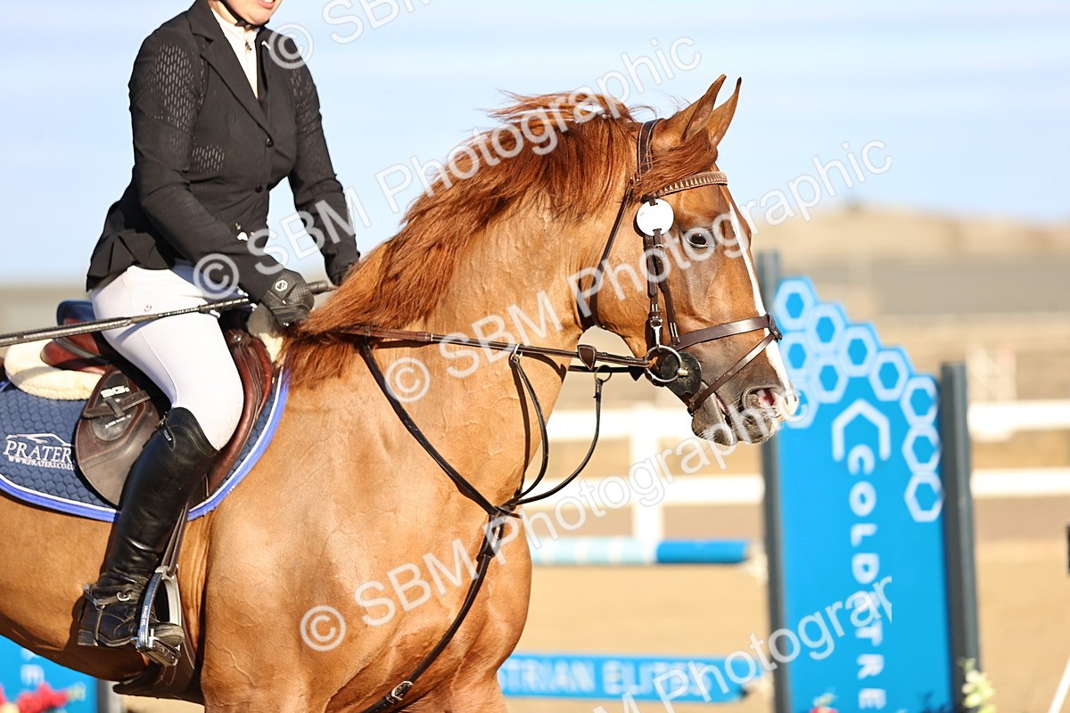 SBM_012425 - Class 12 - Senior British Novice - 90cm Open