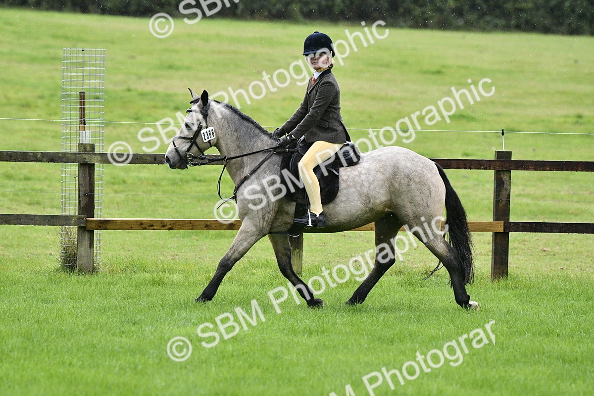 SBM_35544 - S30 - Nursery Stakes Working Hunter Pony