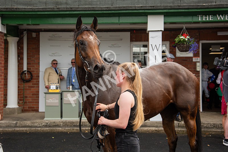 240624-Race 3-Eternal Sunshine-8084 - Race 3