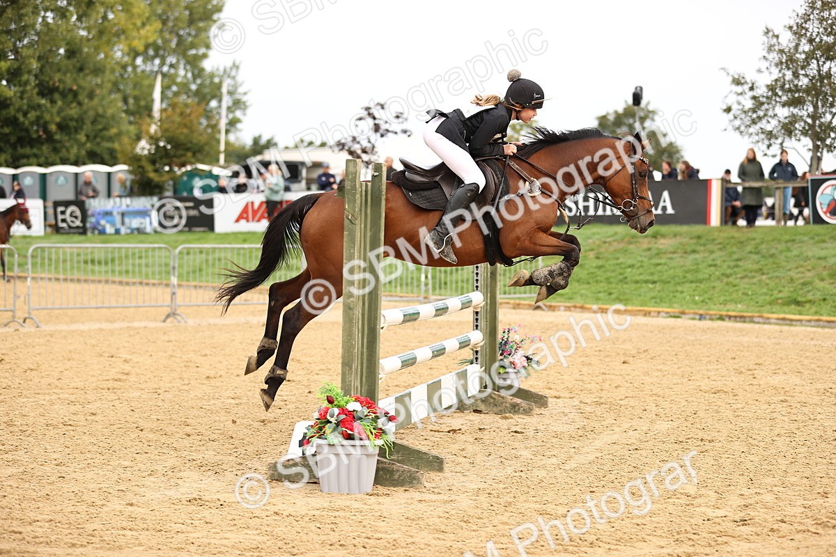 SBM_58400 - J41 - Grand Tour Horse & Pony 95cm