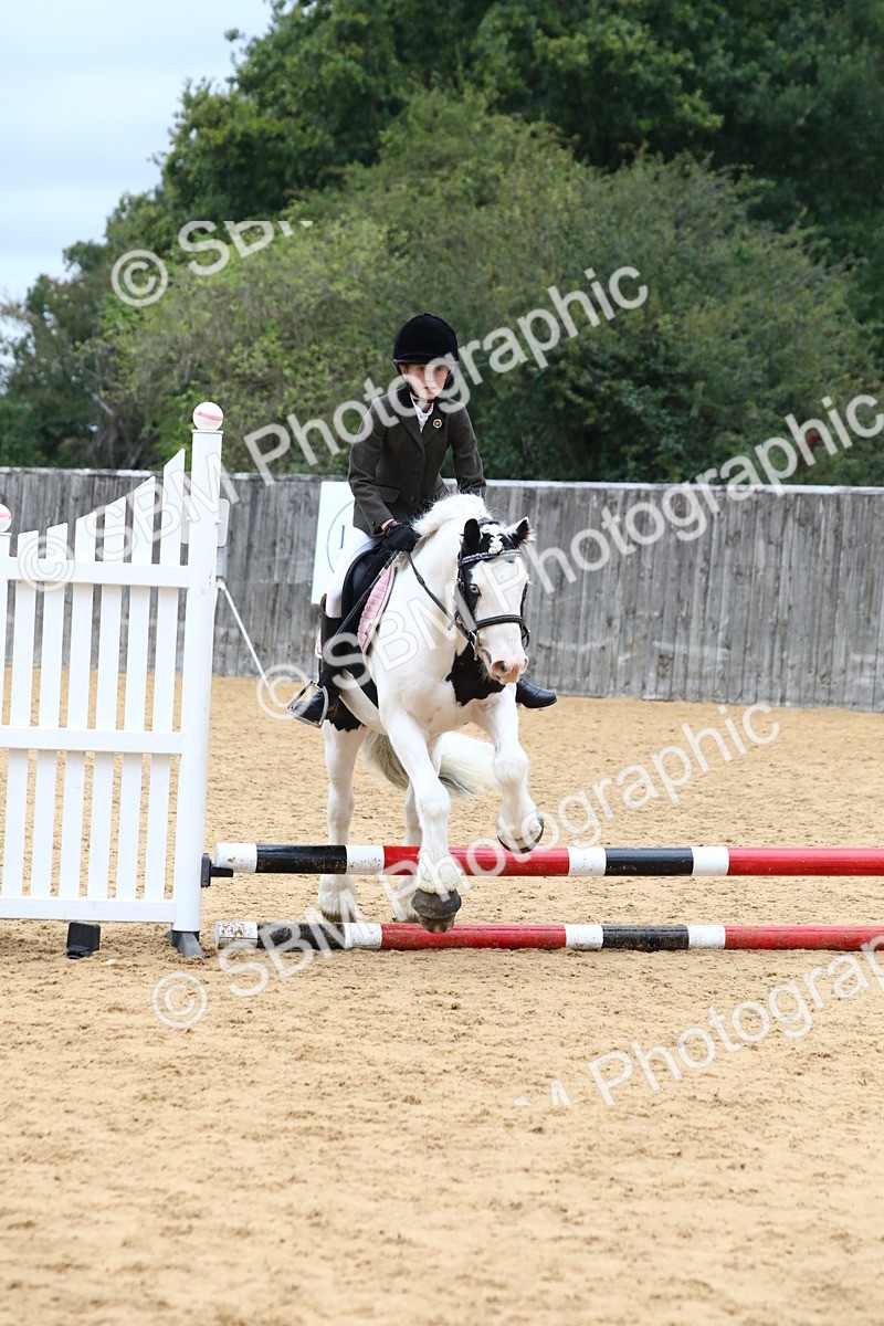 SBM_68312 - J3b - Mini Tour Junior Pony 40cm Championship
