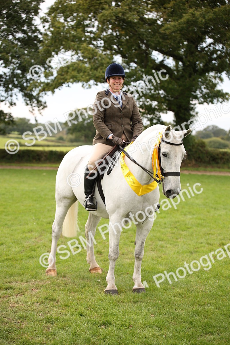 SBM_72421 - S67 - Show Cob Ridden