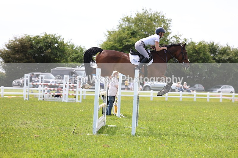 3E7A1413 - Class 12: Senior Foxhunter/1.20 open