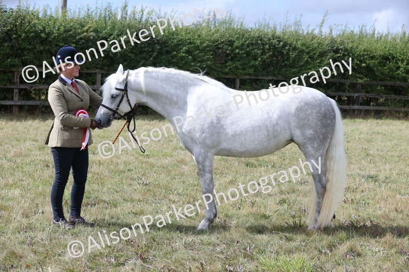 20250831-1682 - Class 22 - Mountain and Moorland Inhand