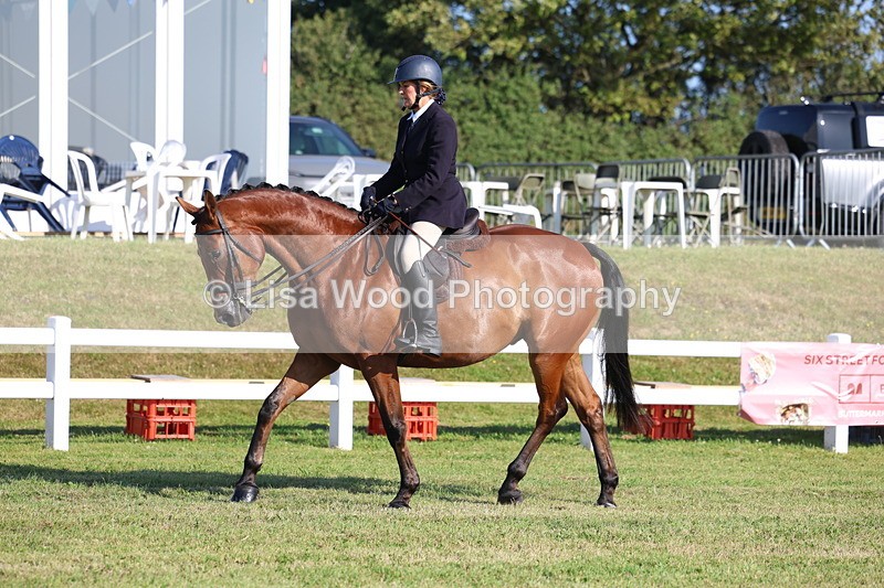 3E7A5369 - Class 2: Rising Star Large Hack/Riding Horse