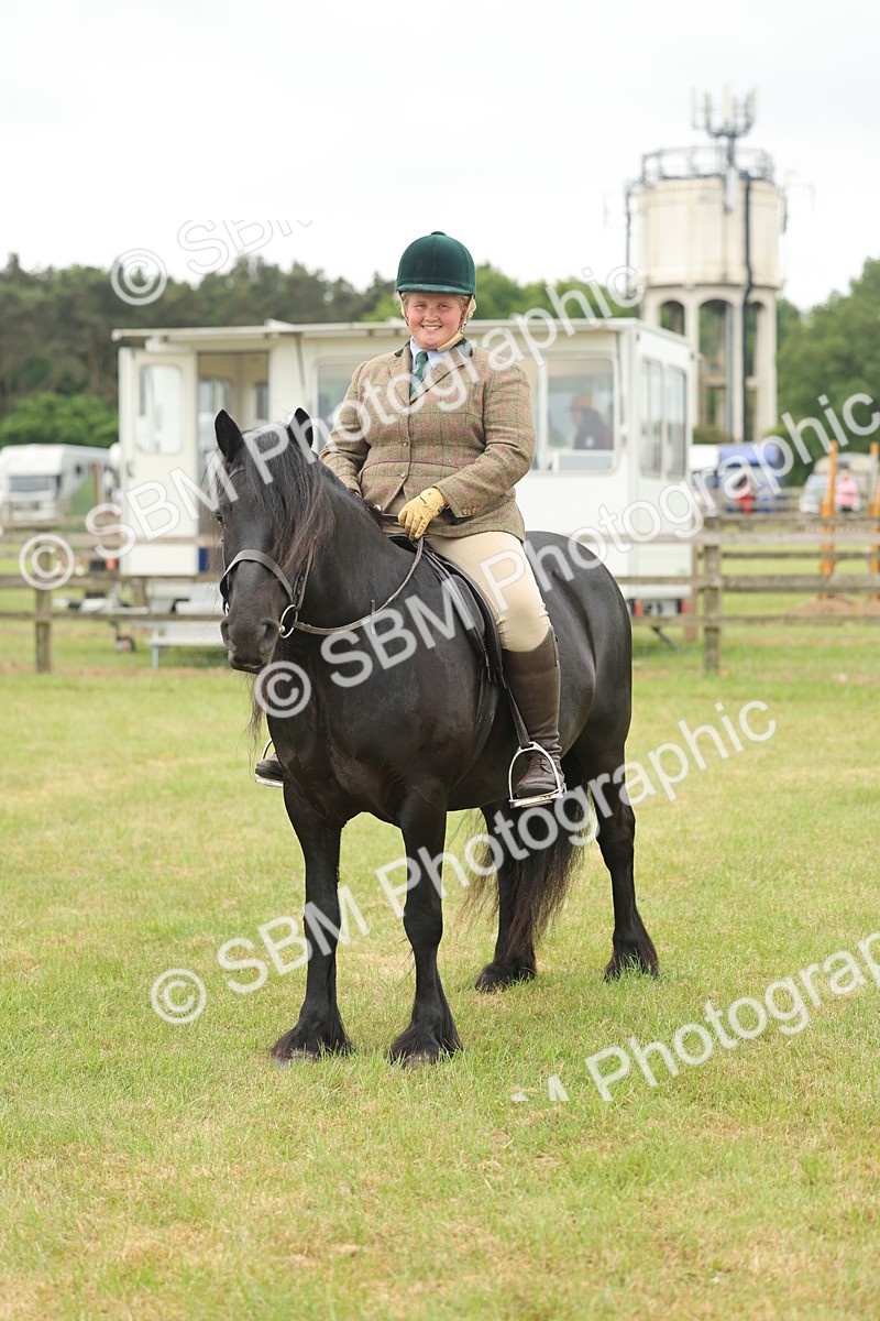SBM_09024 - Class 78-80 - Ridden M&M Non Welsh Ponies