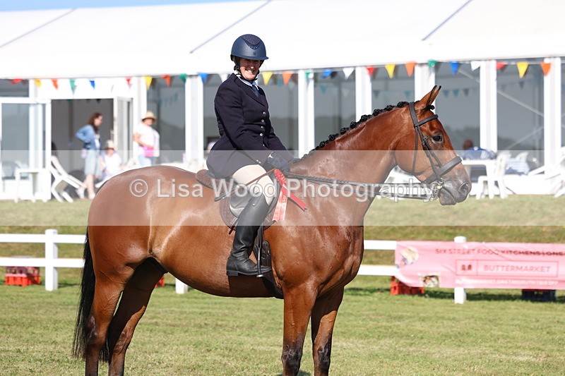 3E7A5739 - Class 2: Rising Star Large Hack/Riding Horse