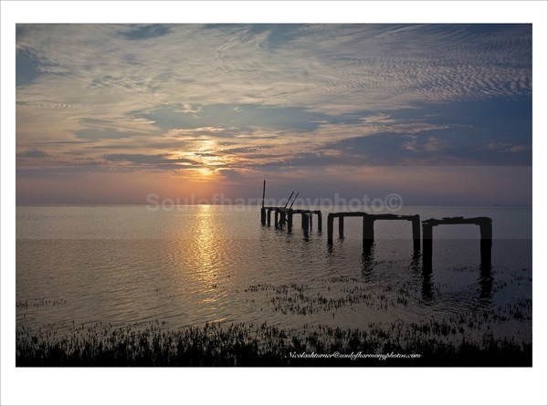 Beauty Shines - Landscape