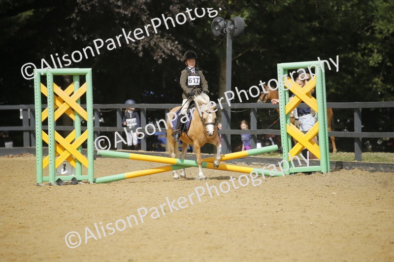 20250622-3786 - 50cm