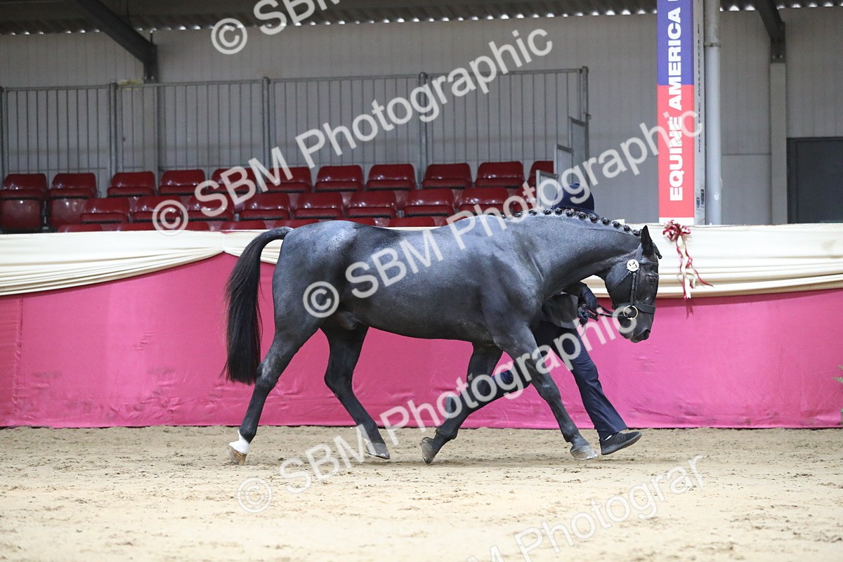 SBM_04354 - Class 7R Regional - IH Diamond