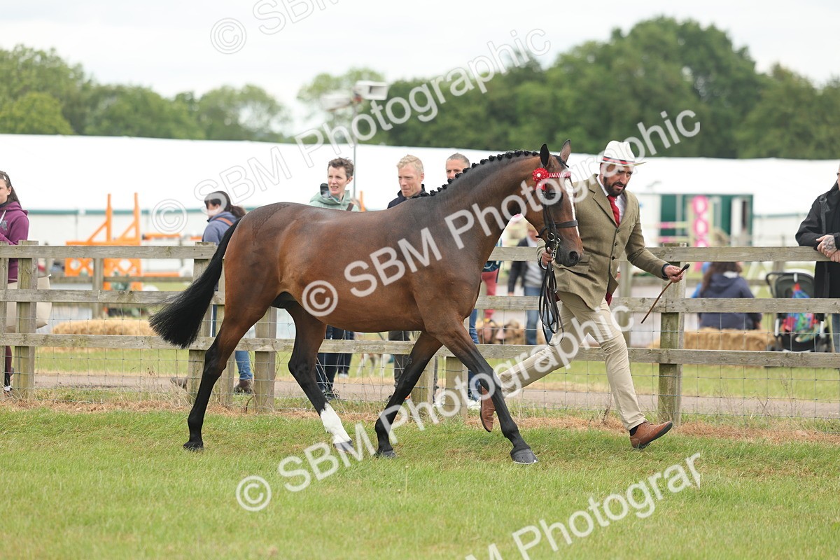 SBM_05509 - Class 68-73 - Riding Pony Breeding