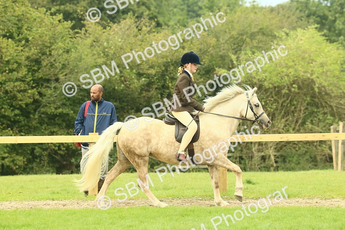 SBM_71911 - S60 - Mountain & Moorland Ridden Large Breeds