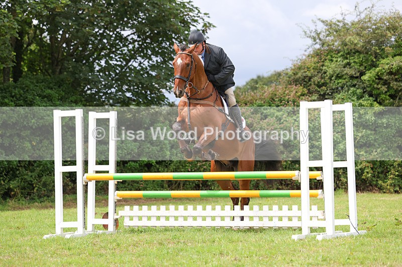 3E7A6887 - Class 5: Senior British Novice/90cm open