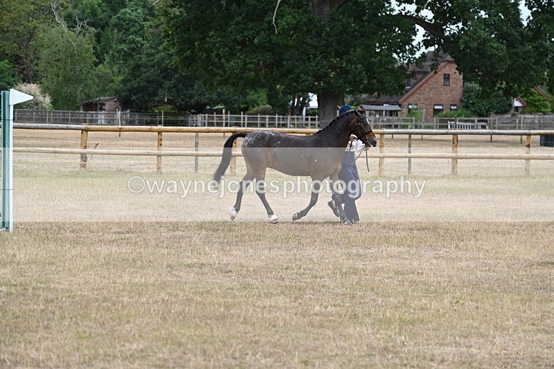 WJ6_8548 - Class 10 Coloured in Hand