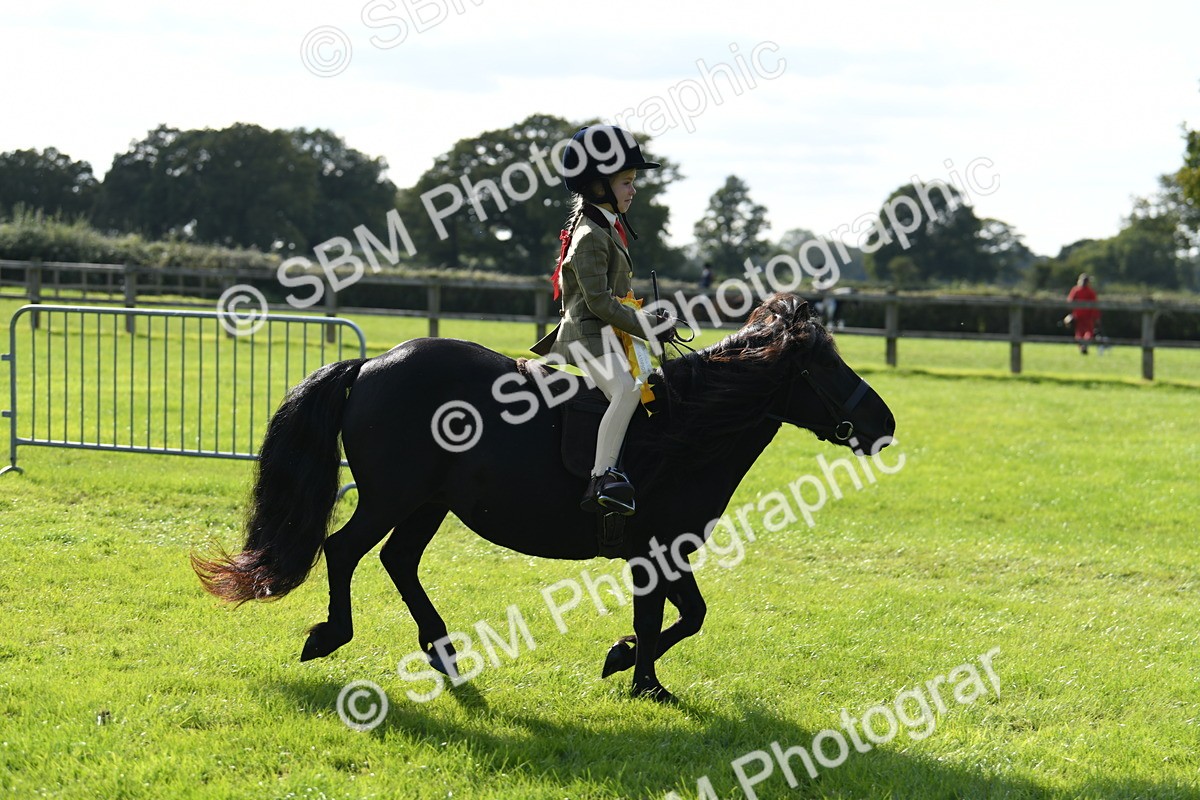 SBM_50516 - S21 - Novice & Newcomers 1st Ridden Pony