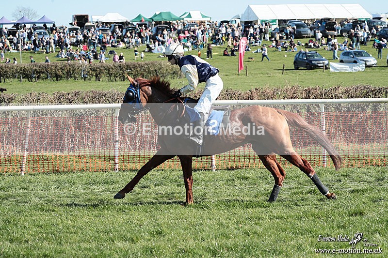 PtP 210326 237 - VWH Cirencester Races 21/03/26