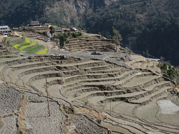  - Nepal