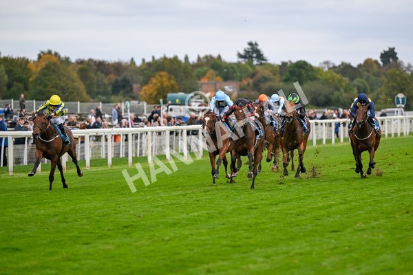 101025-Race 4-Thaluna-6788 - Race 4 William Hill Best Odds Guaranteed EBF Novice Stakes at York